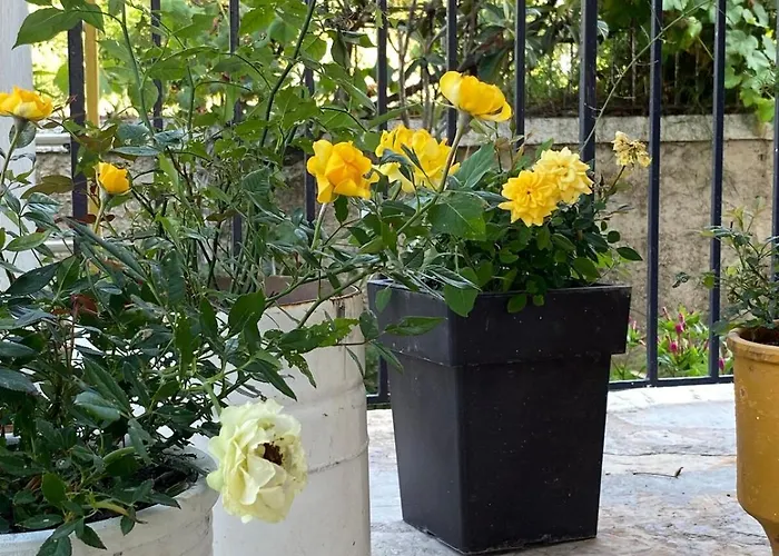 Апартаменты Amalia 21